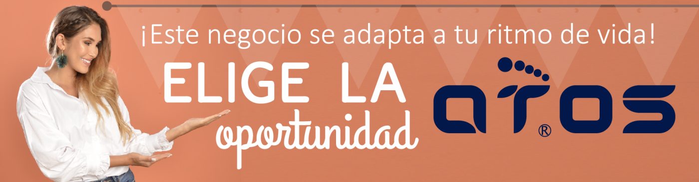 Carrito